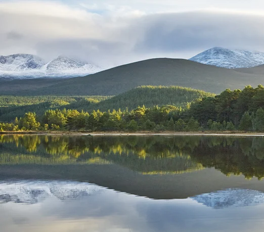 HIGHLAND SPIRITS